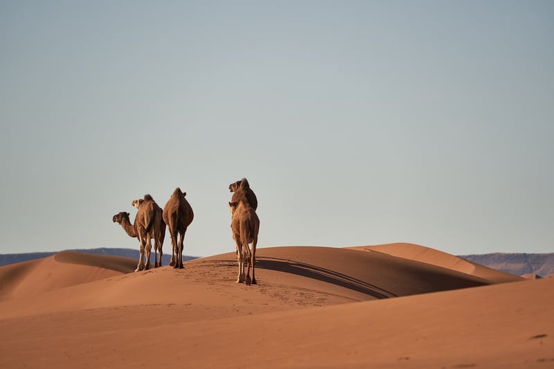 Atlas Mountains